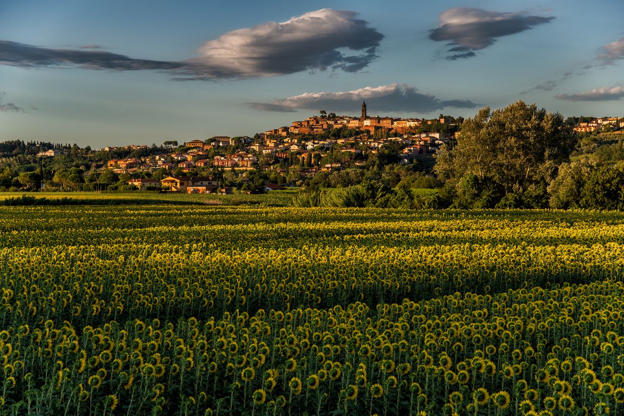 Peccioli trionfa: Il 'Borgo dei Borghi' del 2024