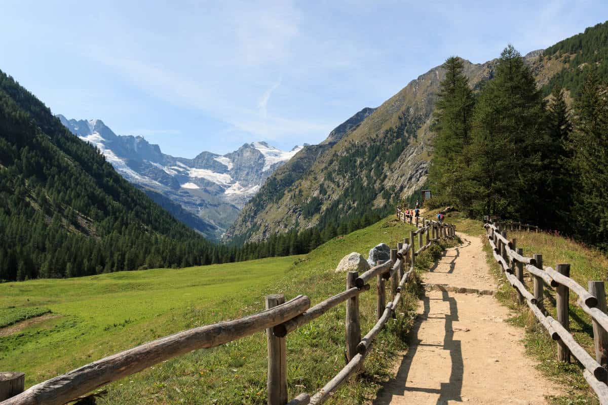 Gran Paradiso … terrestre