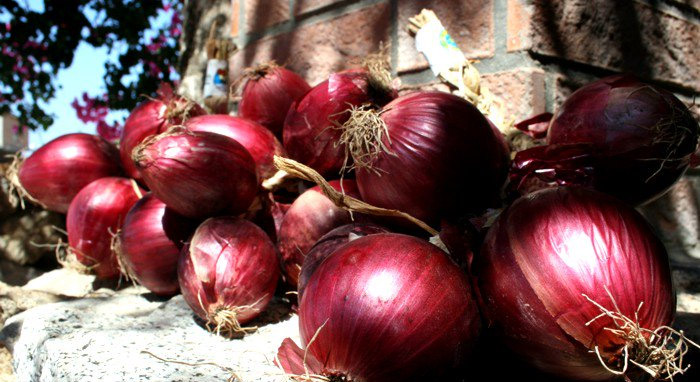 Tropea e la sua cipolla rossa IGP