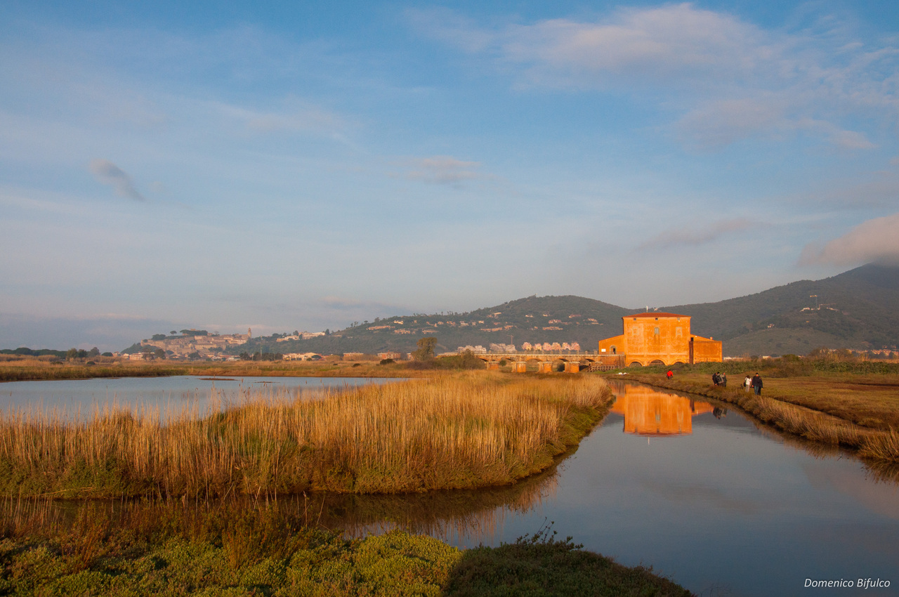 Area Archeologica di Vetulonia e la Riserva Naturale Diaccia Botrona