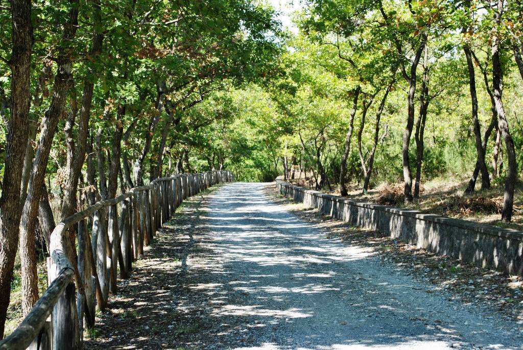 Parco Comunale del Farneto 'G. De Rosa'