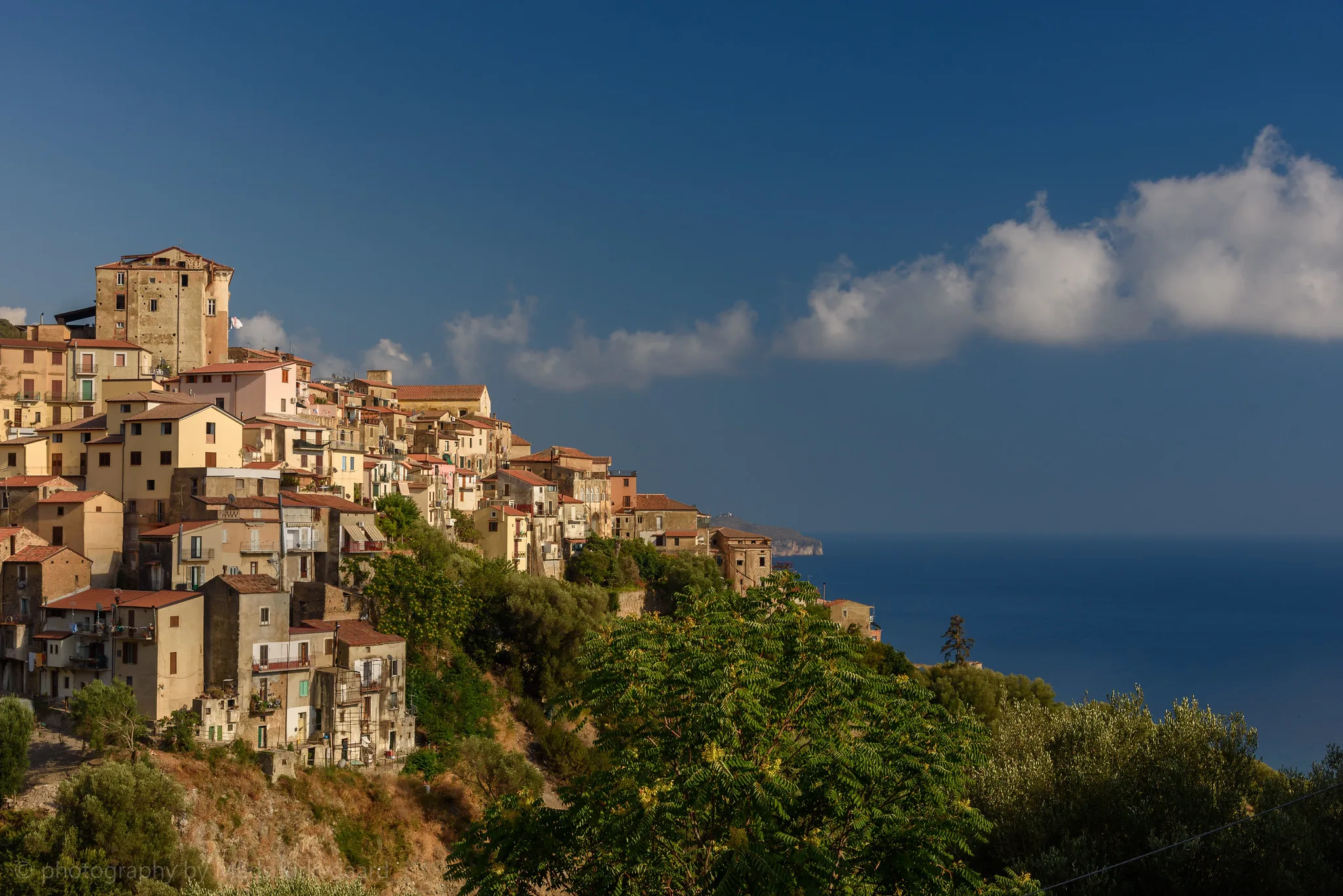 A look at Pisciotta