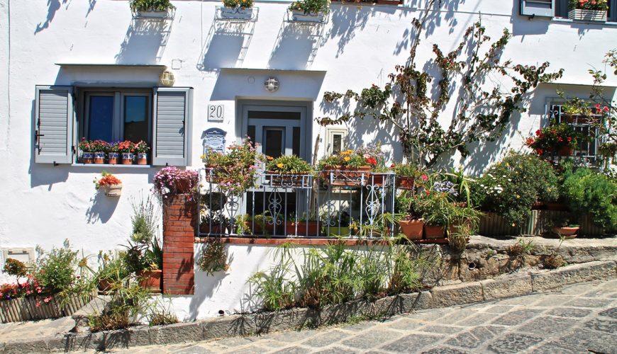 A flower on each balcony: Procida welcomes spring